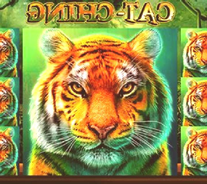 Cat-Ching online slot