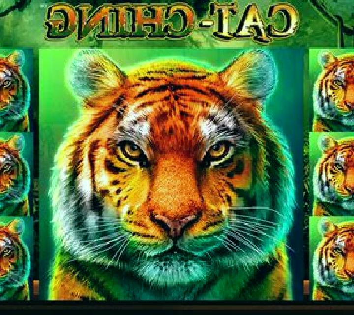 Cat-Ching slot game