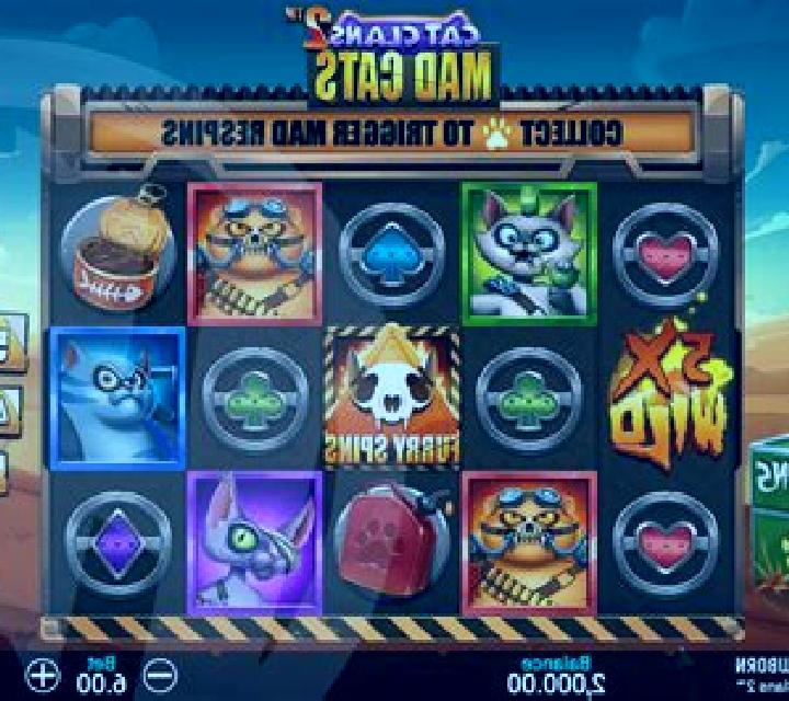 Cat Clans slot machine