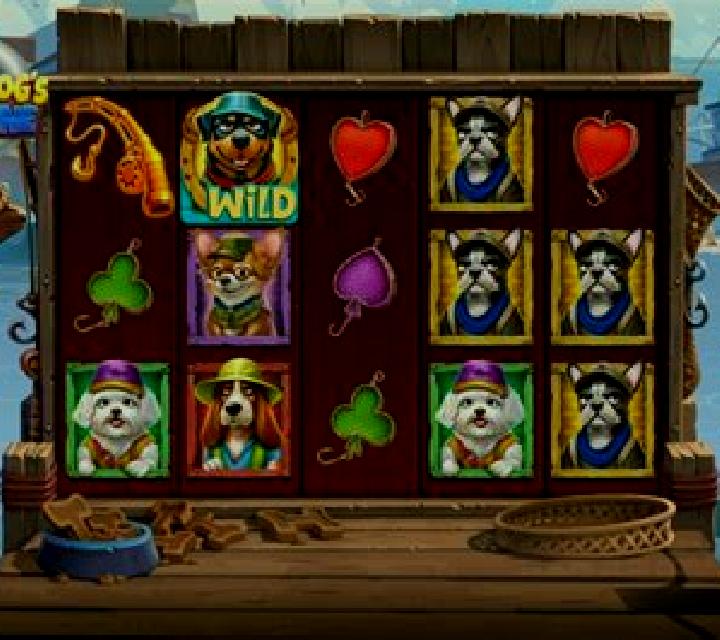Cat Fisher Fortune slot game
