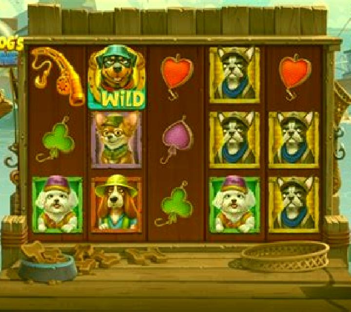 Cat Fisher Fortune slot machine
