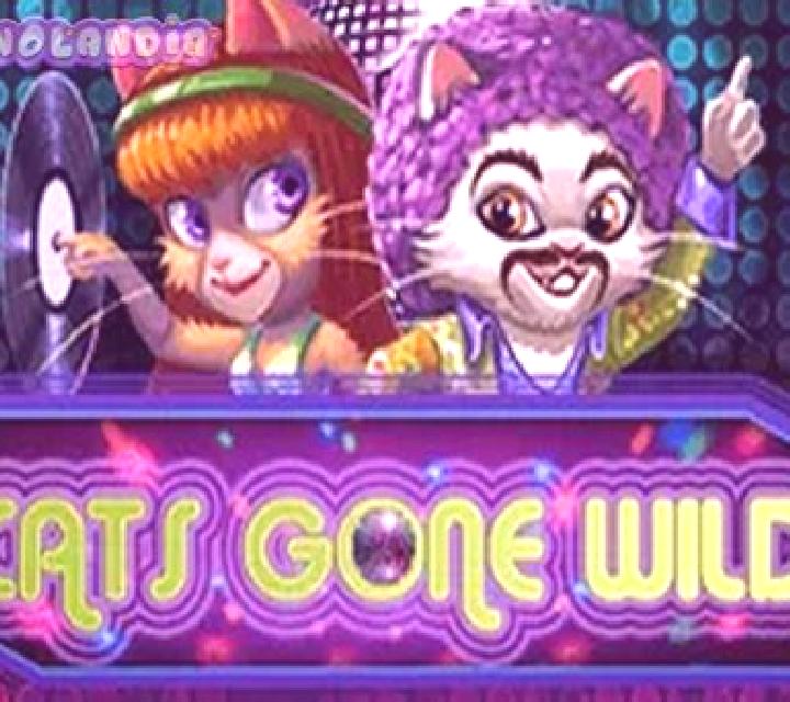 Cats Gone Wild slot machine