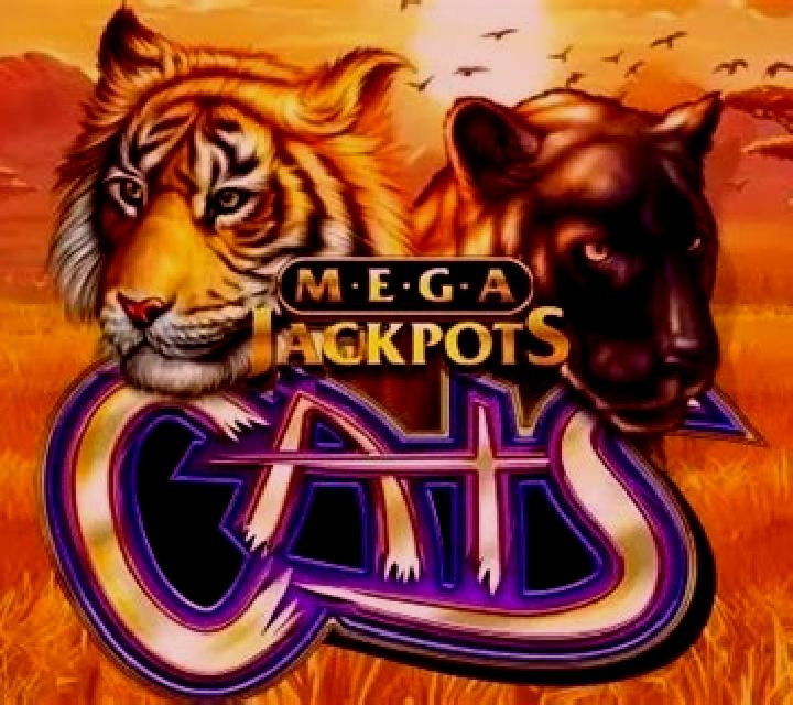 Cats MegaJackpots slot game