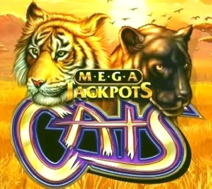 Cats MegaJackpots slot machine