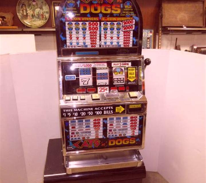 Cats N Dogs slot machine