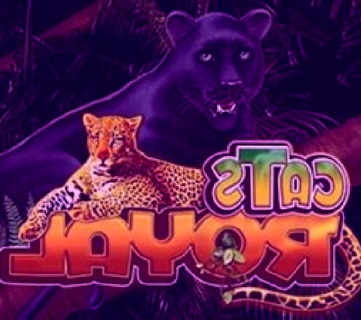 Cats Royal slot game