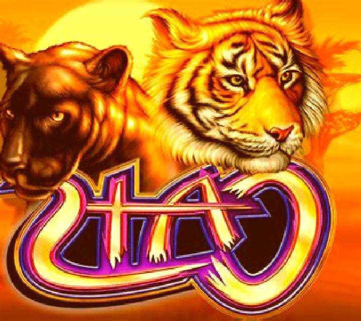 Cats slot game