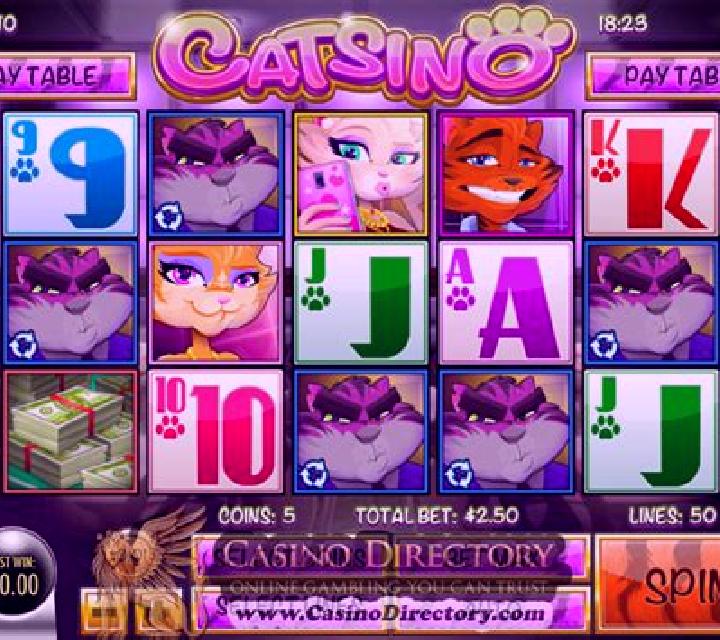 Catsino slot game