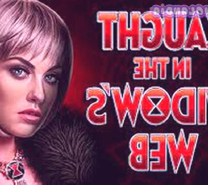 Caught in the Widow s Web slot machine