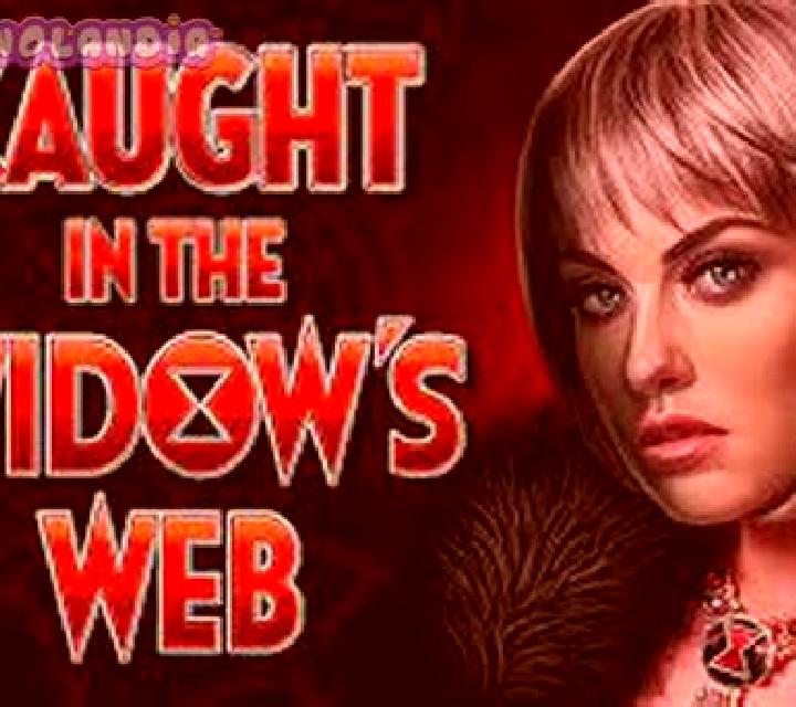 Caught in the Widow s Web slot