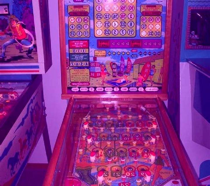 Champion Bingo II Deluxe slot machine