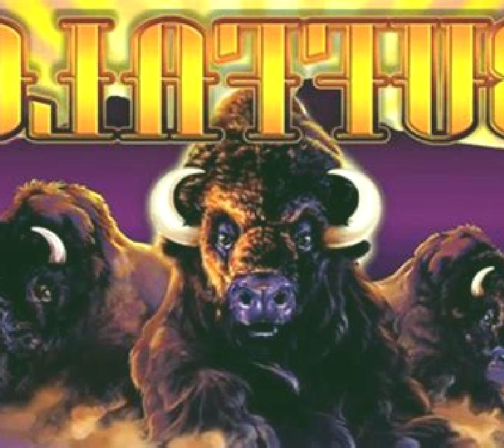 Chieftain Buffalo slot game