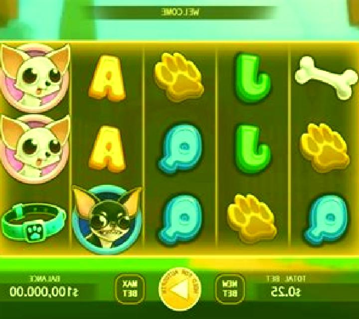Chihuahua Party slot