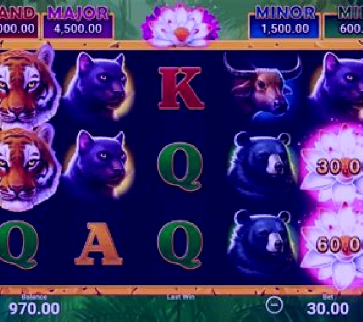 Chilling Tiger online slot