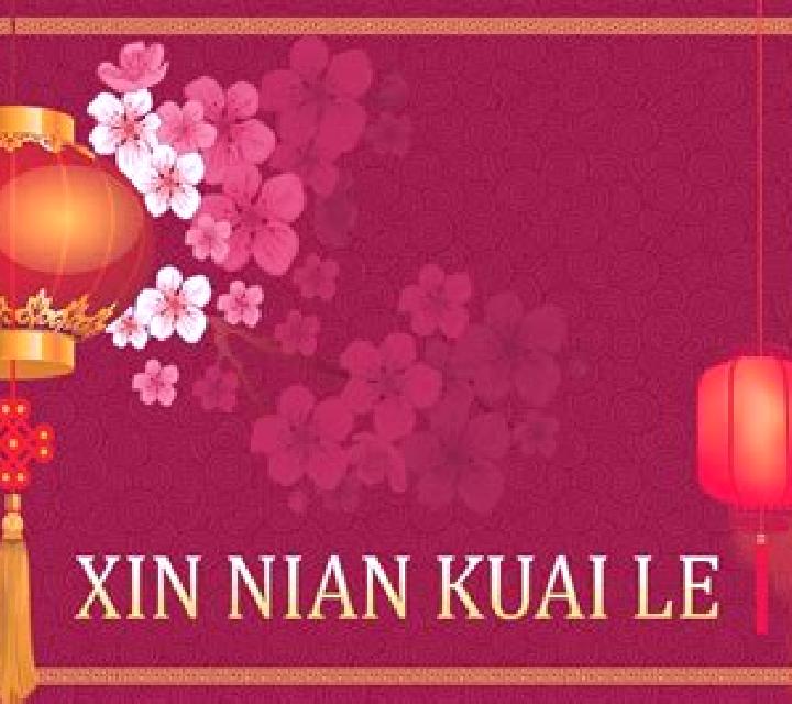 Chinese New Year (XIN Gaming) slot game