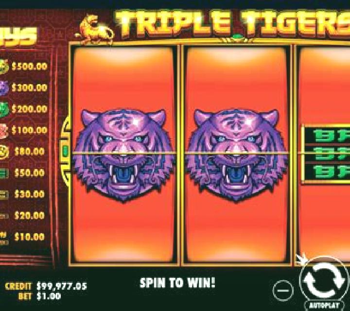 Chinese Tigers slot machine
