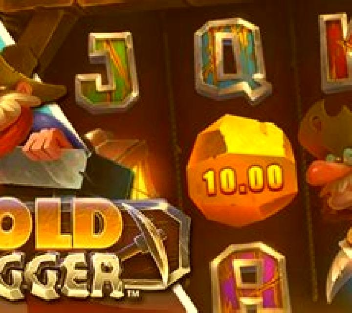Christmas Gold Digger: Play slot game