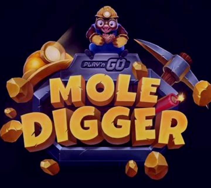 Christmas Gold Digger: Play slot machine