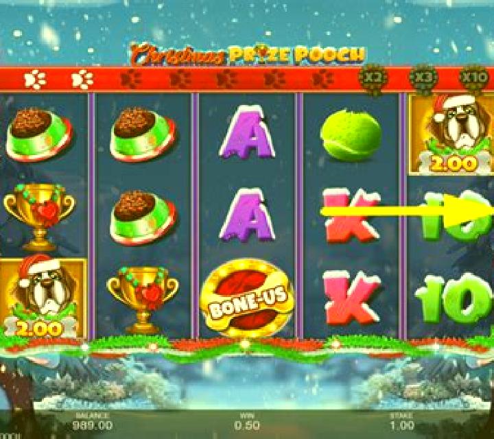 Christmas Prize Pooch slot