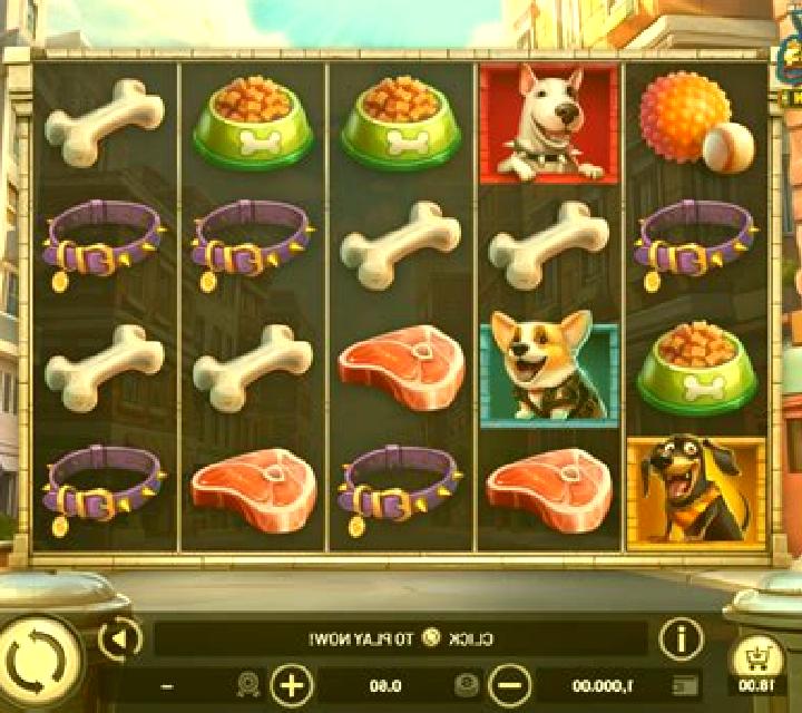 City Dawgs - Hold & Win online slot