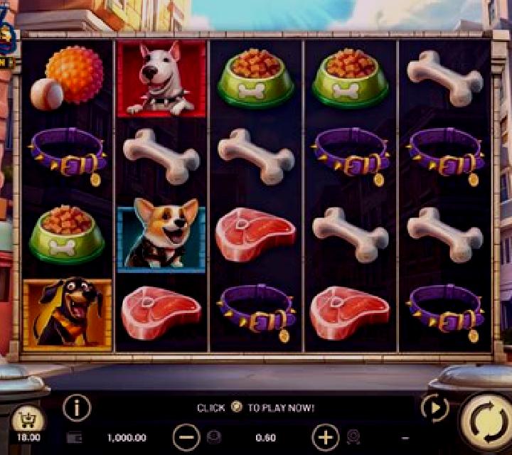 City Dawgs - Hold & Win slot game