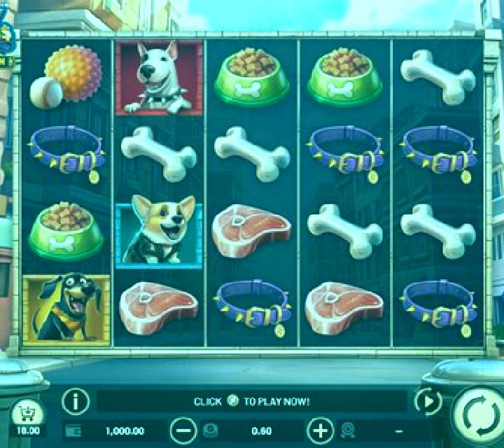 City Dawgs - Hold & Win slot machine