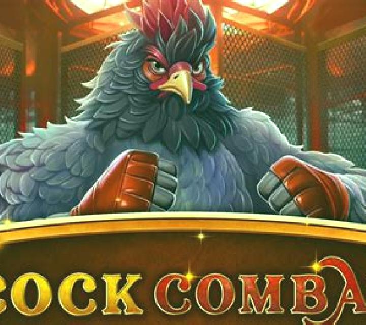 Cock Combat Dice slot