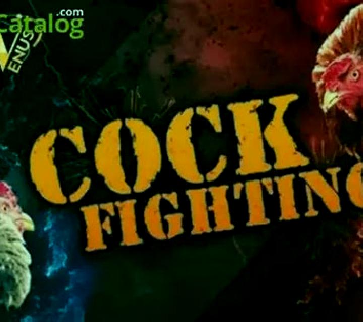 Cock Fighting (esball) slot game