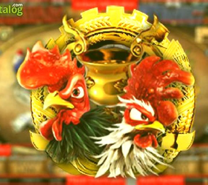 Cock Fighting (esball) slot