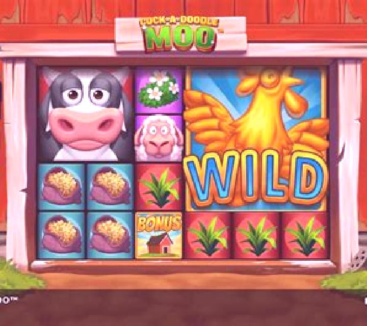 Cock Rush slot