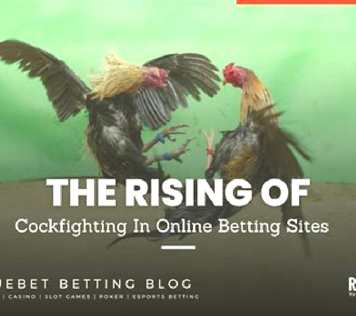 Cockfighting (Rich 88) slot game
