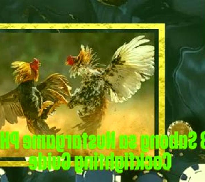 Cockfighting (Rich 88) slot