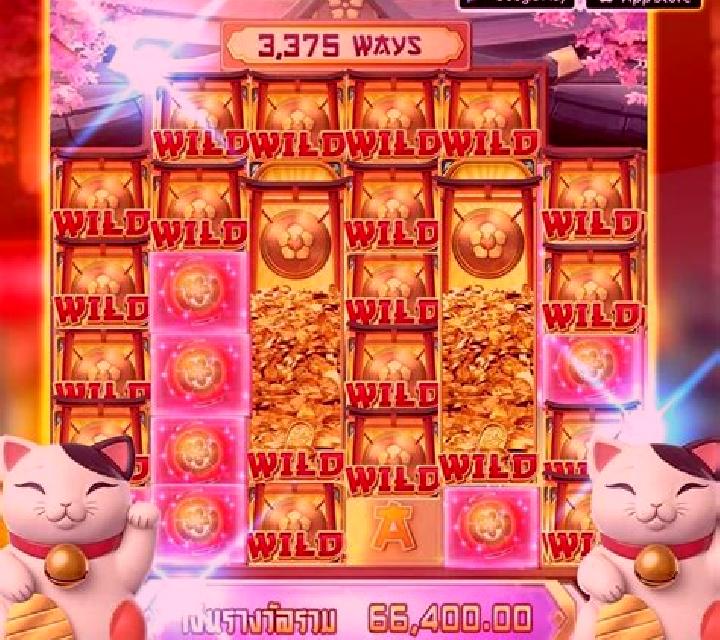Coin Cat slot