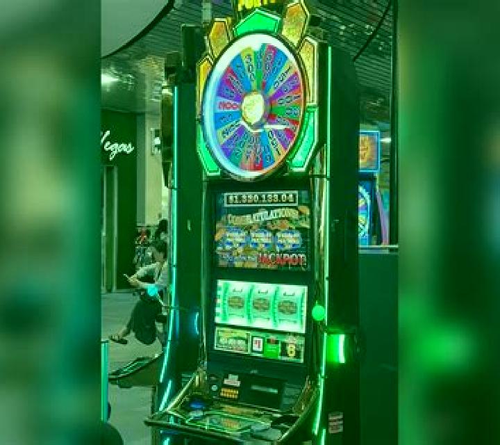 Coin of Life slot machine