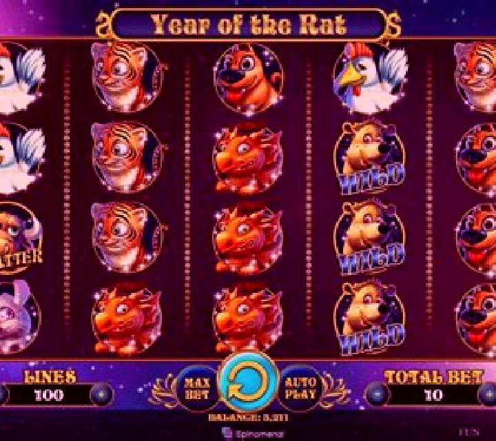 Coin Rat slot machine