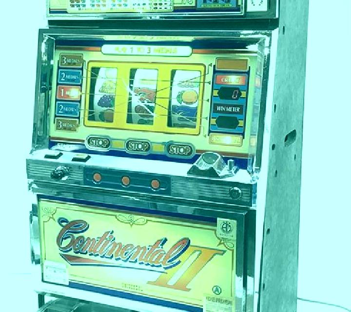 Continental Princess slot machine