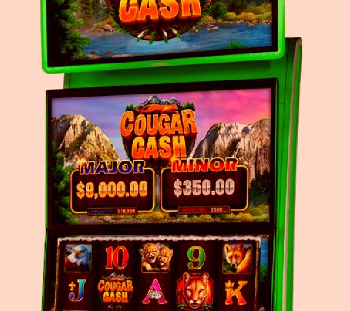 Cougar Cash online slot