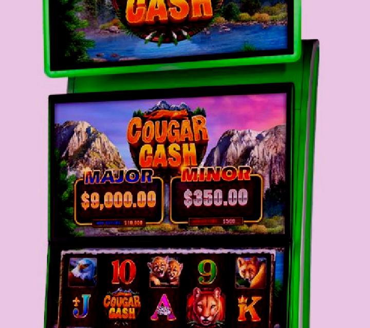 Cougar Cash slot game