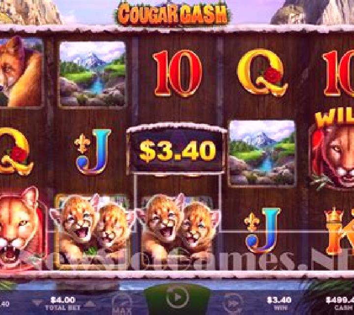 Cougar Cash slot machine