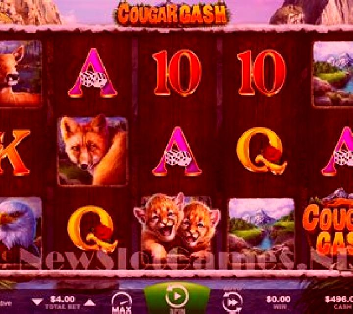Cougar Cash slot
