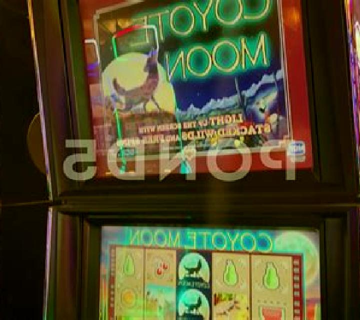 Coyote Canyon online slot