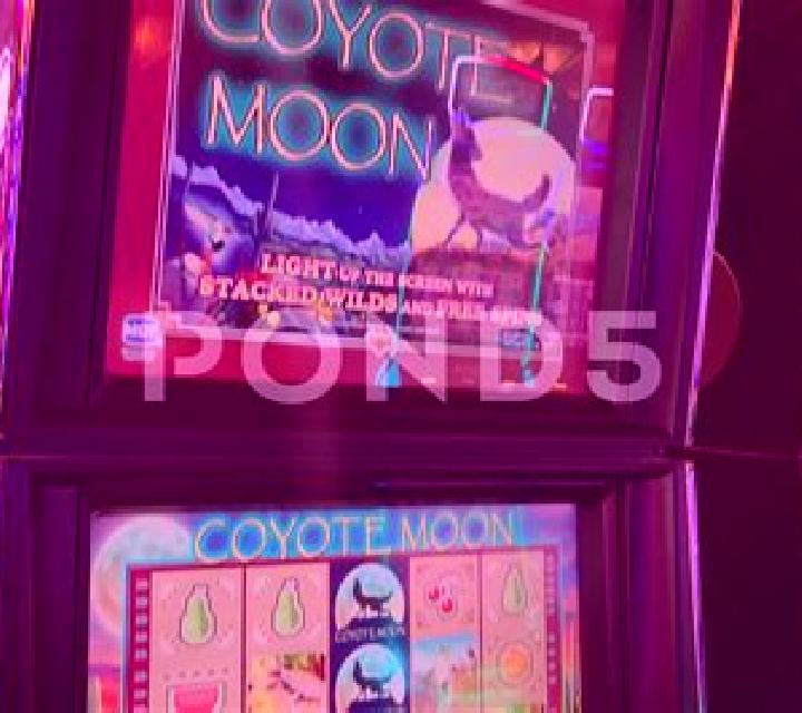 Coyote Canyon slot game