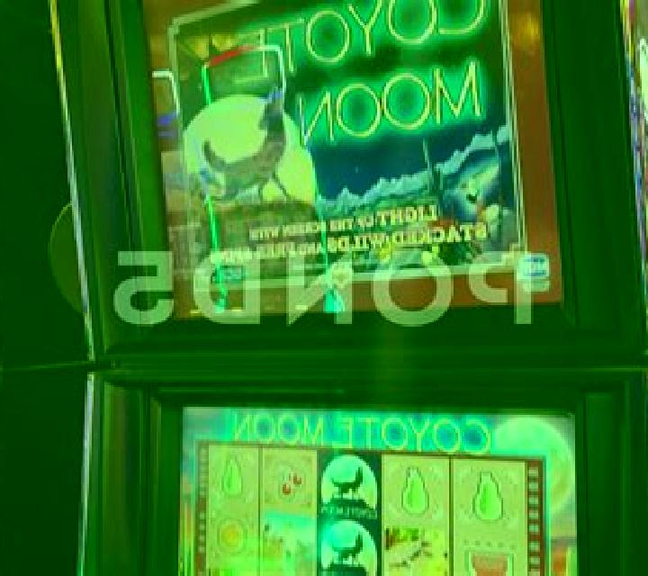 Coyote Canyon slot machine