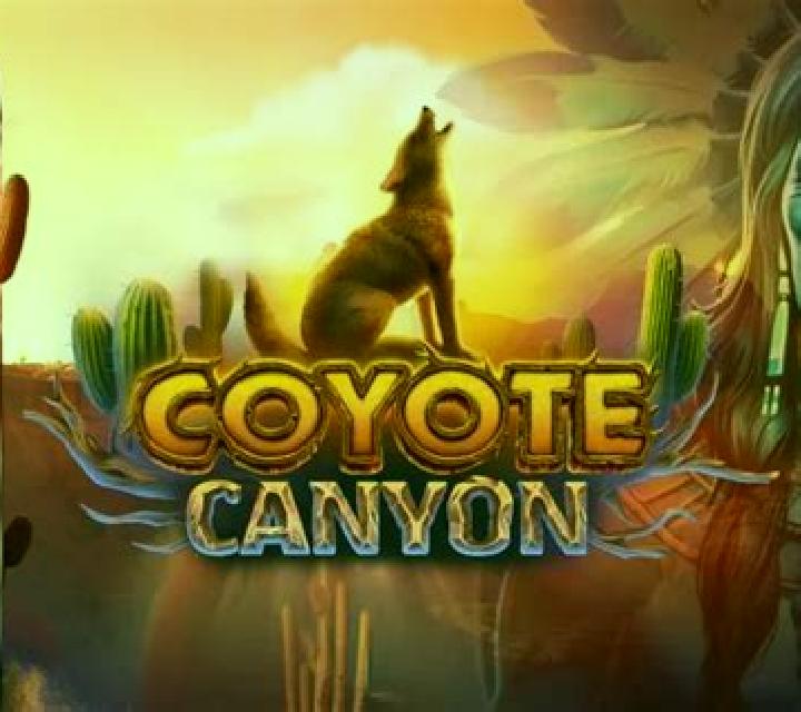 Coyote Canyon slot