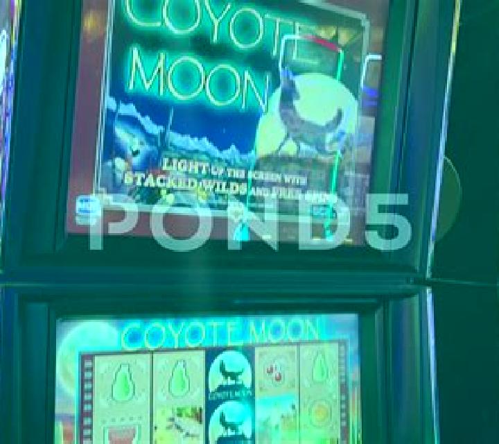 Coyote Cash 2 online slot