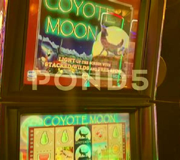 Coyote Cash 2 slot game
