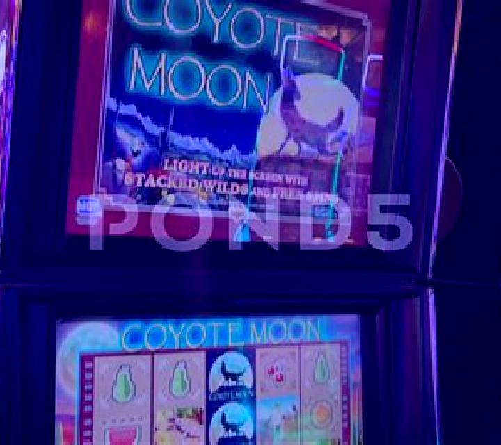 Coyote Crash online slot