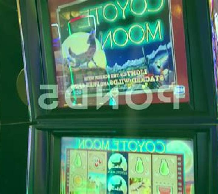 Coyote Crash slot machine