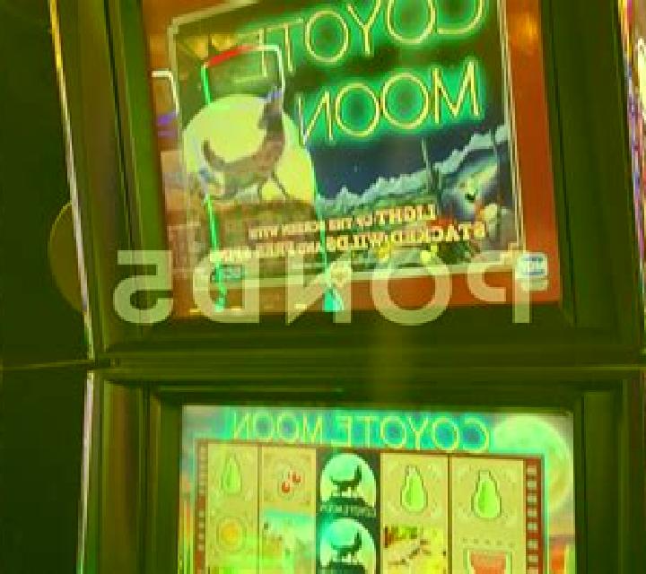 Coyote Dice slot game