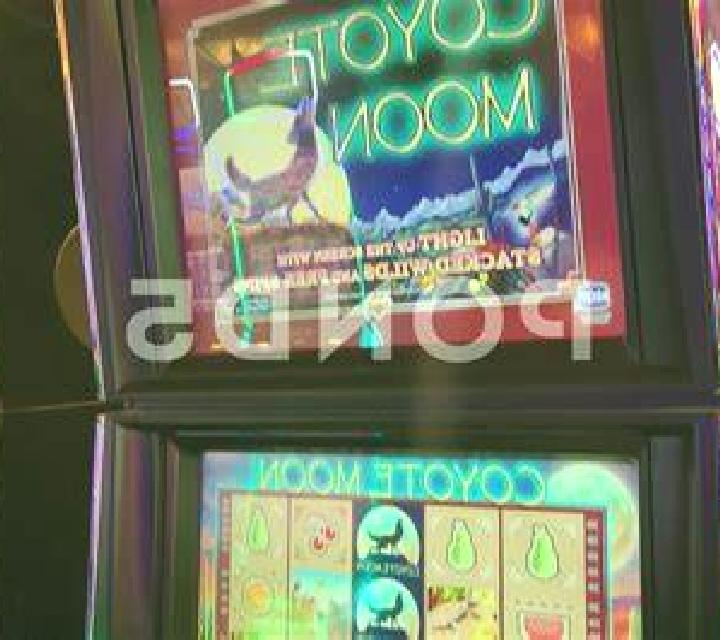 Coyote Dice slot machine